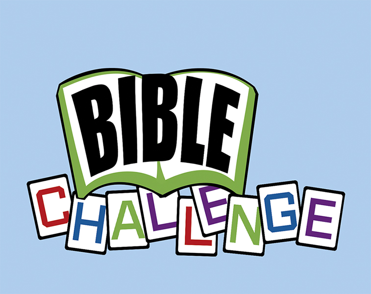 Bible Challenge Stanborough Press